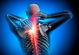  Musculoskeletal Conditions